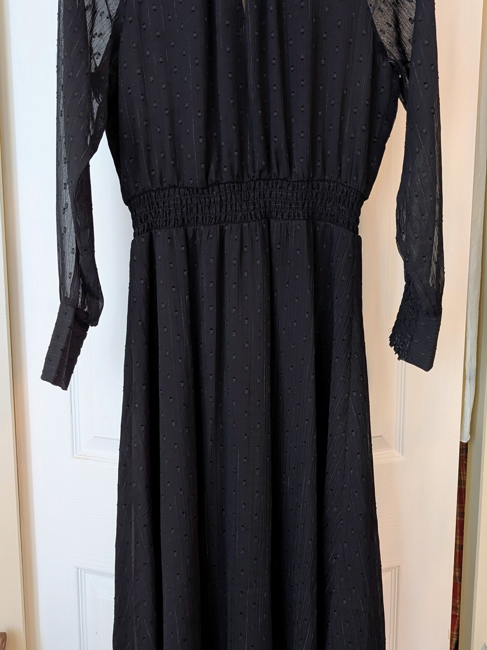 Black Long-Sleeve Swiss Dot Maxi Dress - Picture 6 of 6
